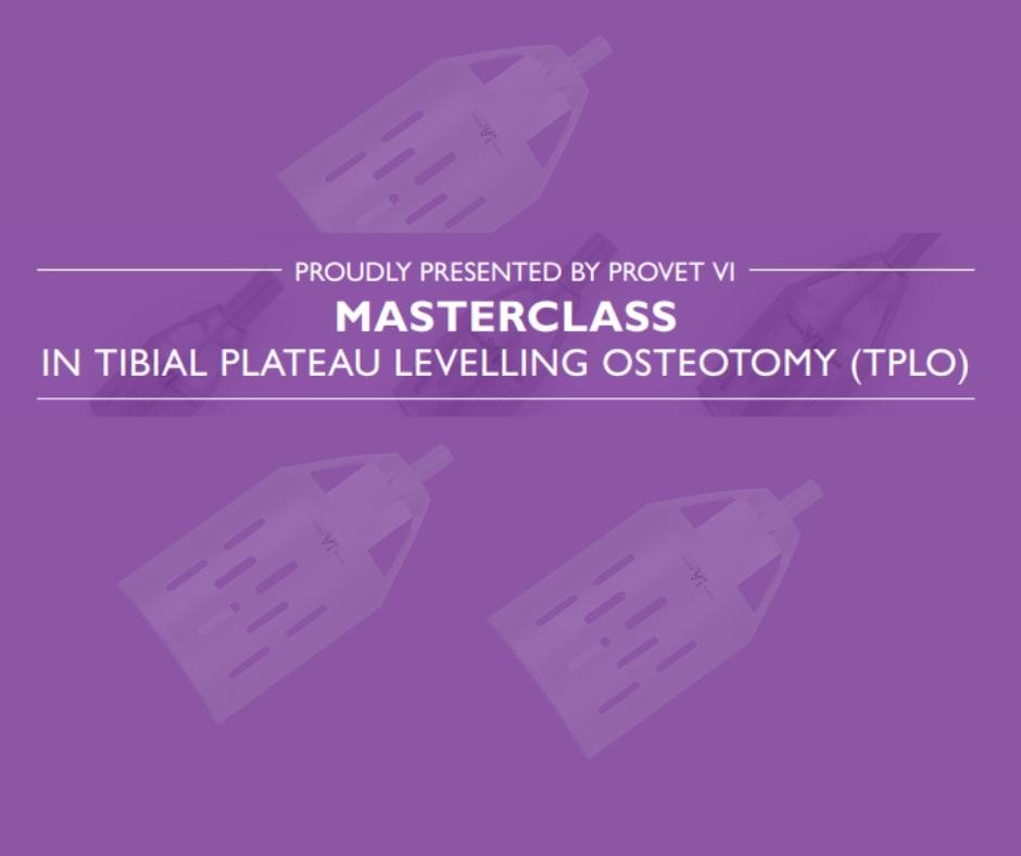 Vi Masterclass in Tibial Plateau Levelling Osteotomy (TPLO) 1 • Provet Vi NZ